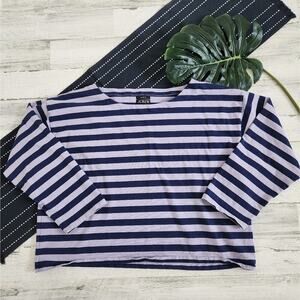 J.Crew Cropped Boatneck T-Shirt Striped Purple Navy Size 3X
